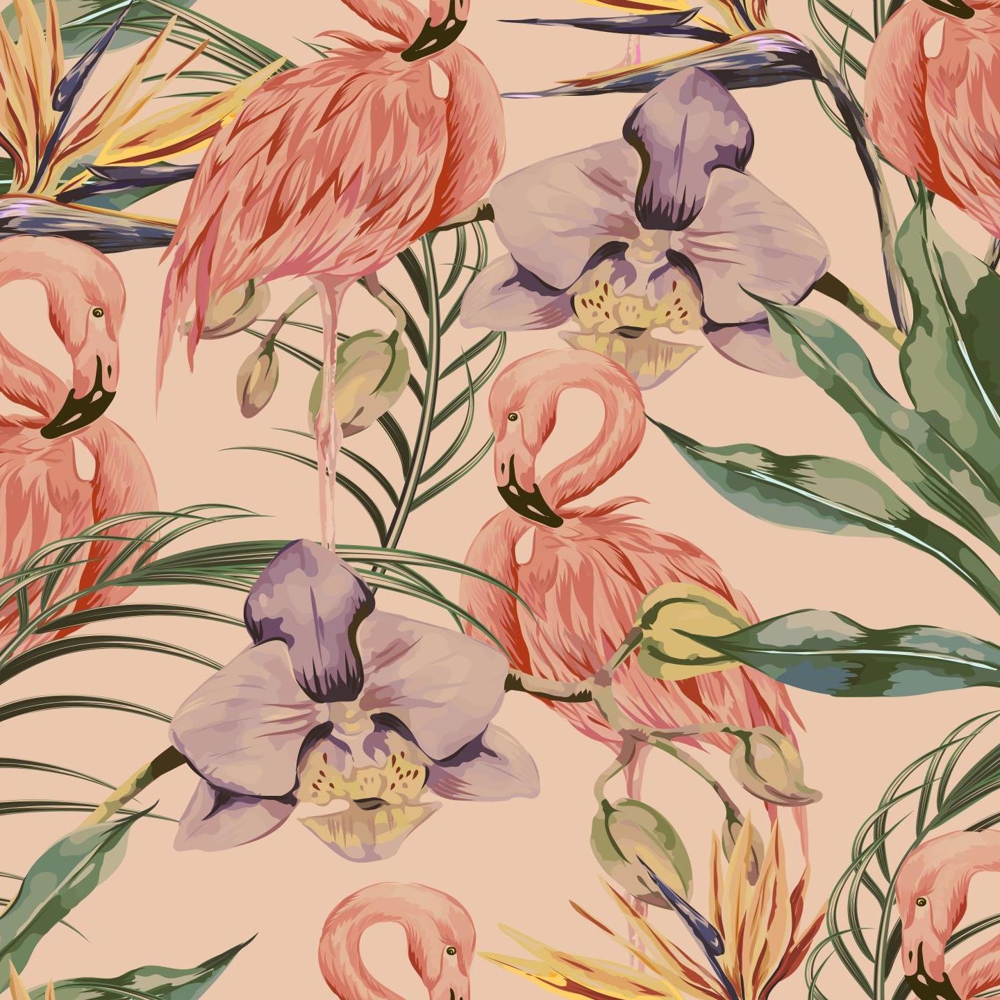 Flamenco Wallpaper