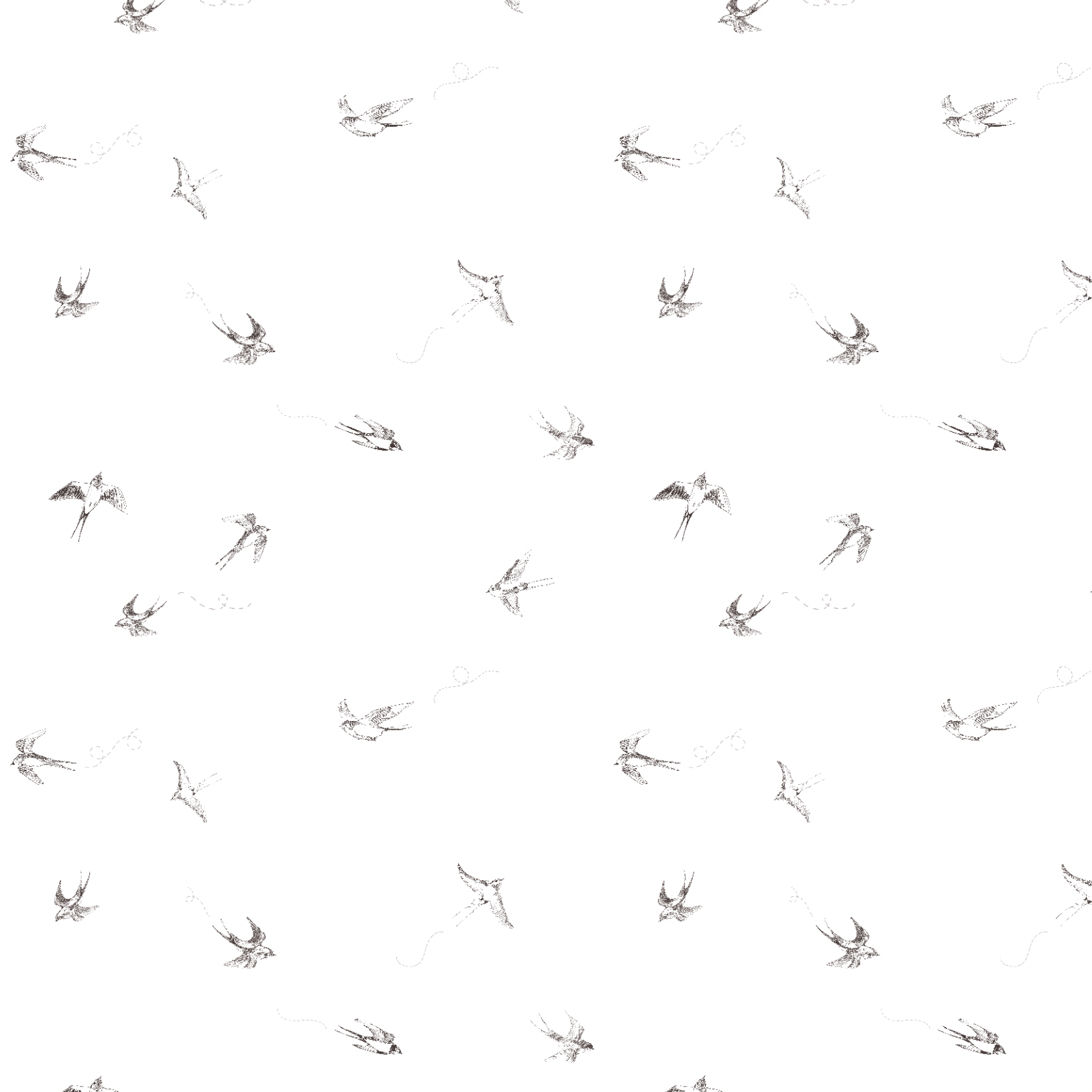 Of a Feather (White) Wallpaper
