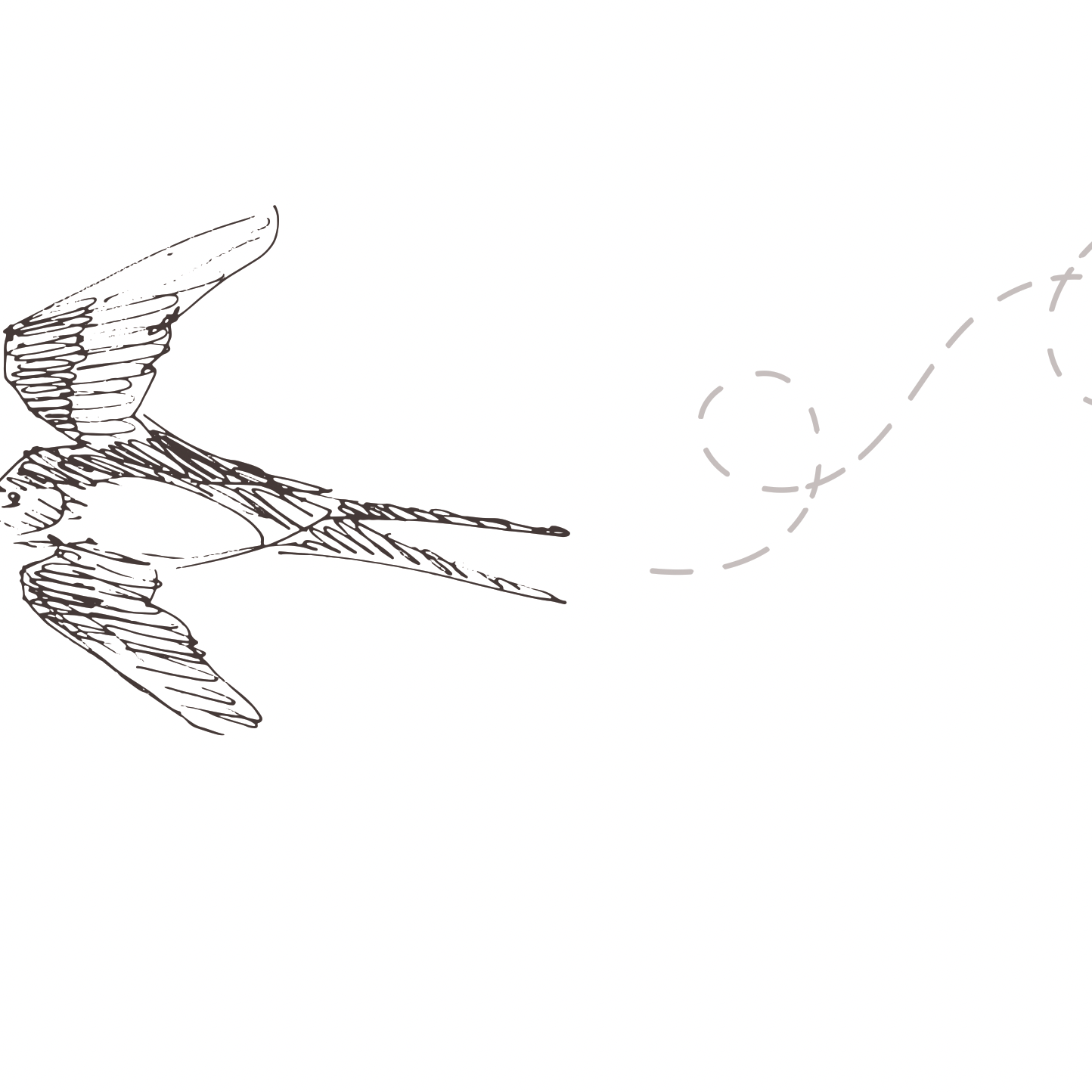 Of a Feather (White) Wallpaper