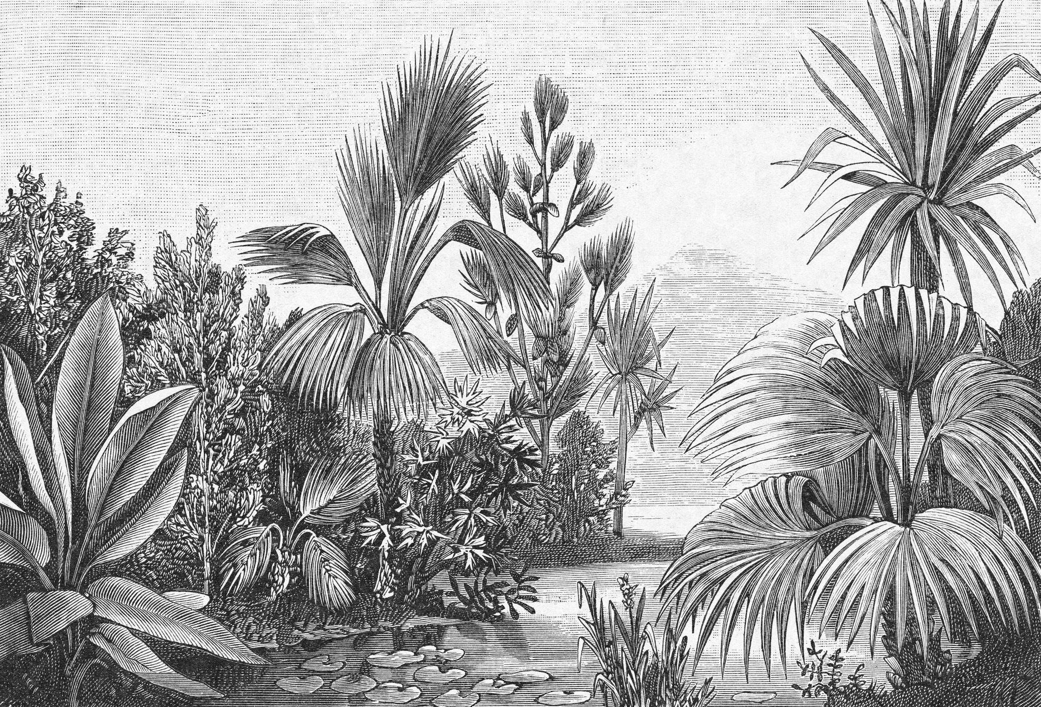 The Congo Wallpaper