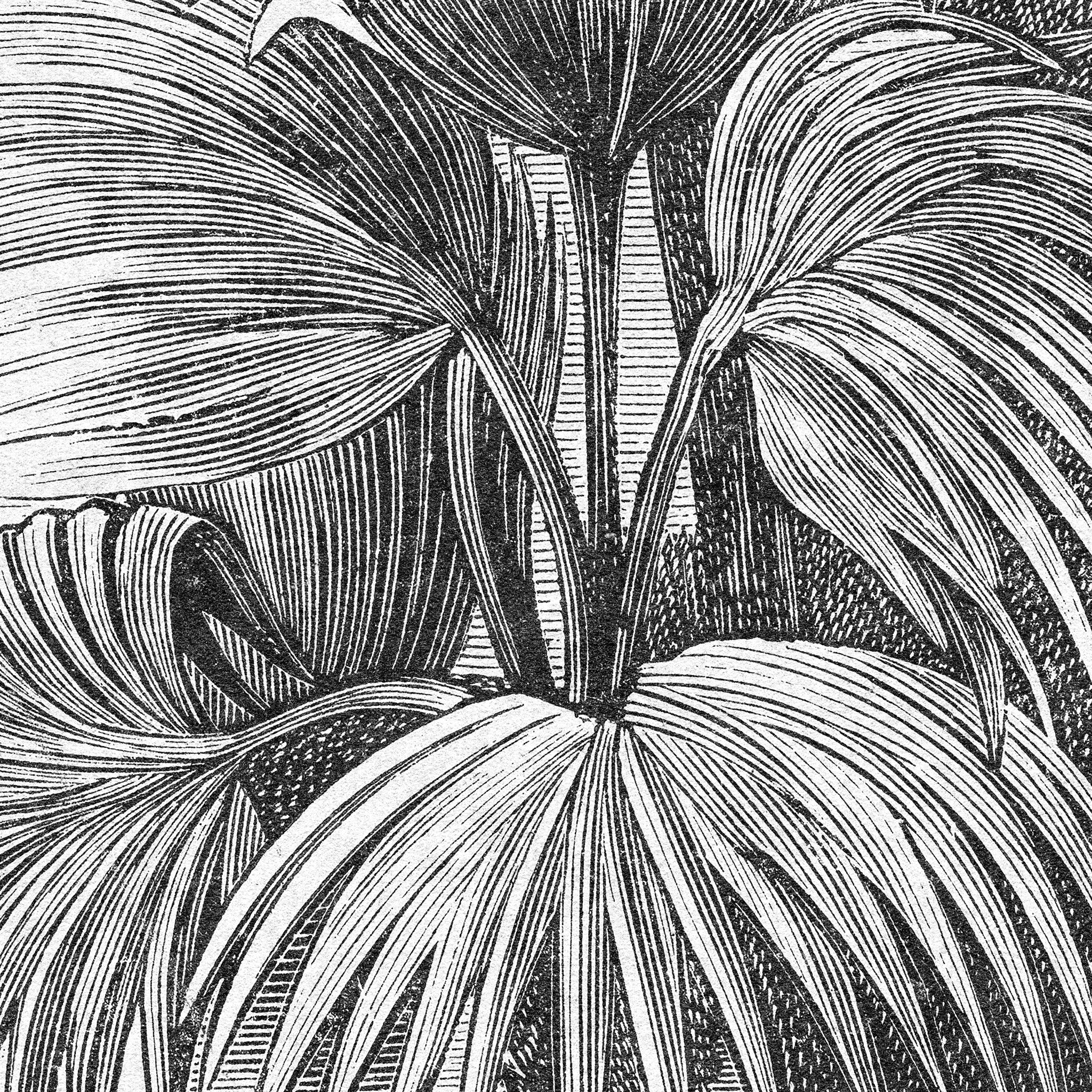 The Congo Wallpaper