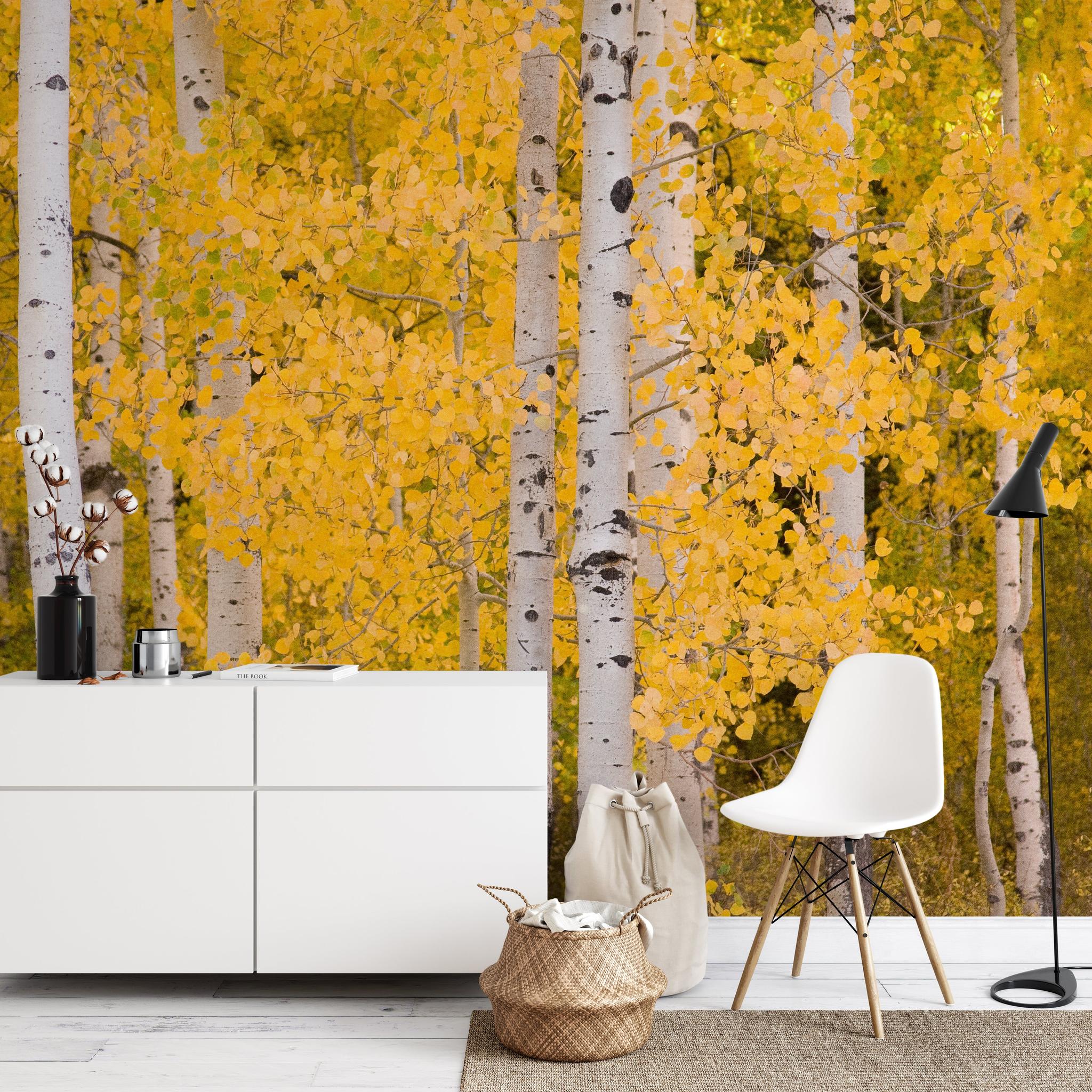 Aspen Wallpaper
